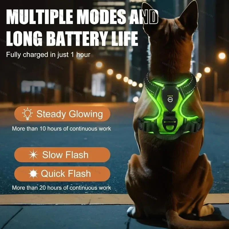 Led Luminous Dog Harness Rechargeable No Pull Adjustable Vest For Dogs