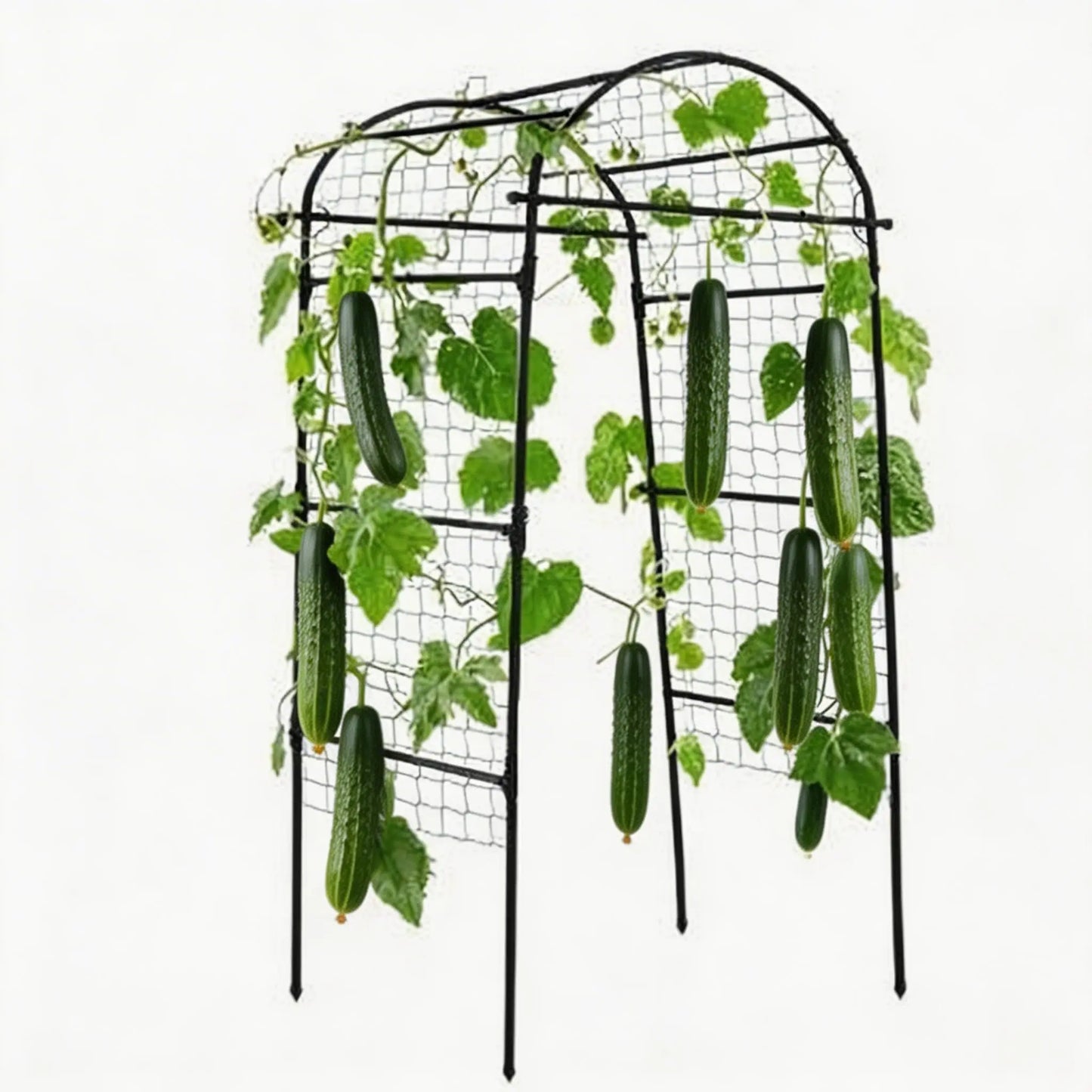 Garden Arch Trellis For Raised Beds Black U-Shape Metal Climbing Plant Support Rust-Resistant Vertical Frame For Vegetables Grapes Roses Quick Tool-Free Setup