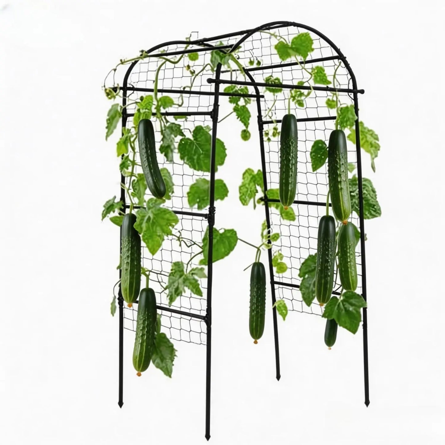 Garden Arch Trellis For Raised Beds Black U-Shape Metal Climbing Plant Support Rust-Resistant Vertical Frame For Vegetables Grapes Roses Quick Tool-Free Setup