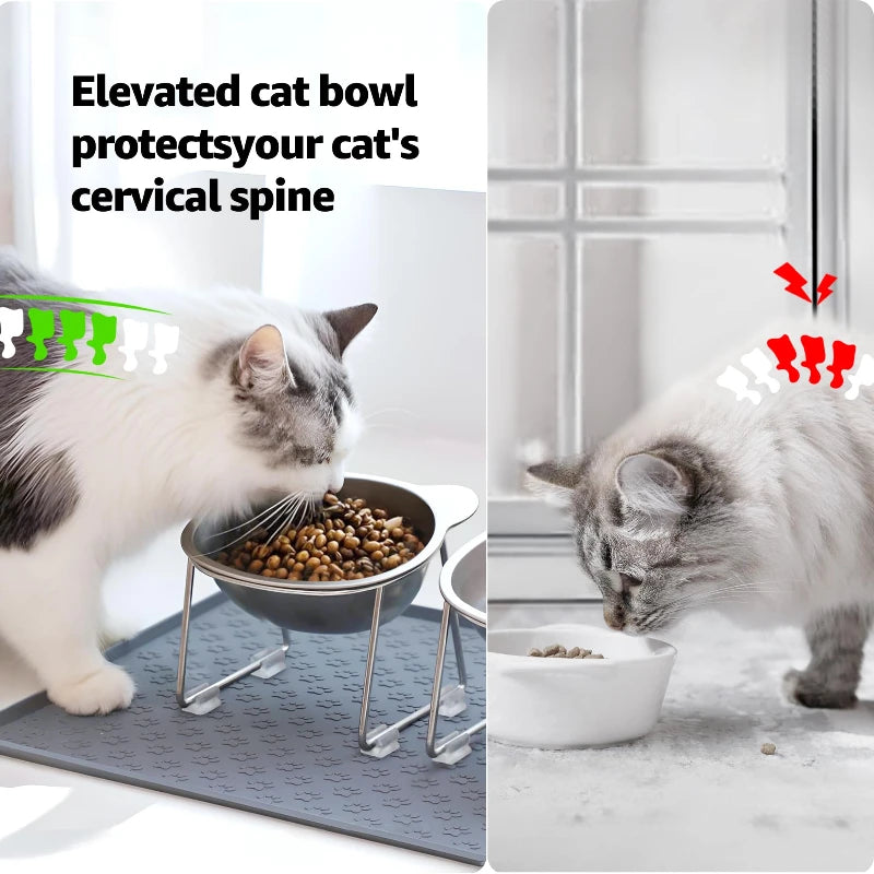 304 Stainless Steel Raised Cat Bowl With Tilted Neck