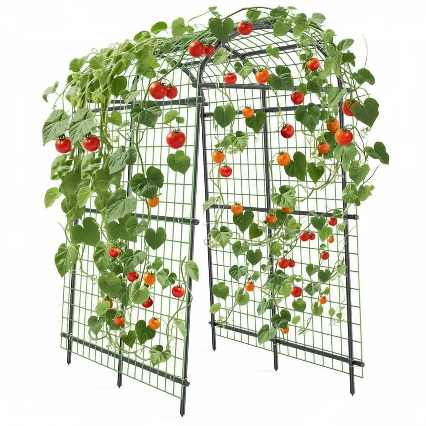 7FT Raised Bed Garden Arch Trellis, Heavy Duty Steel Cucumber Arbor With Bolt Assembly & Deep Stakes For Outdoor Vines & Plants