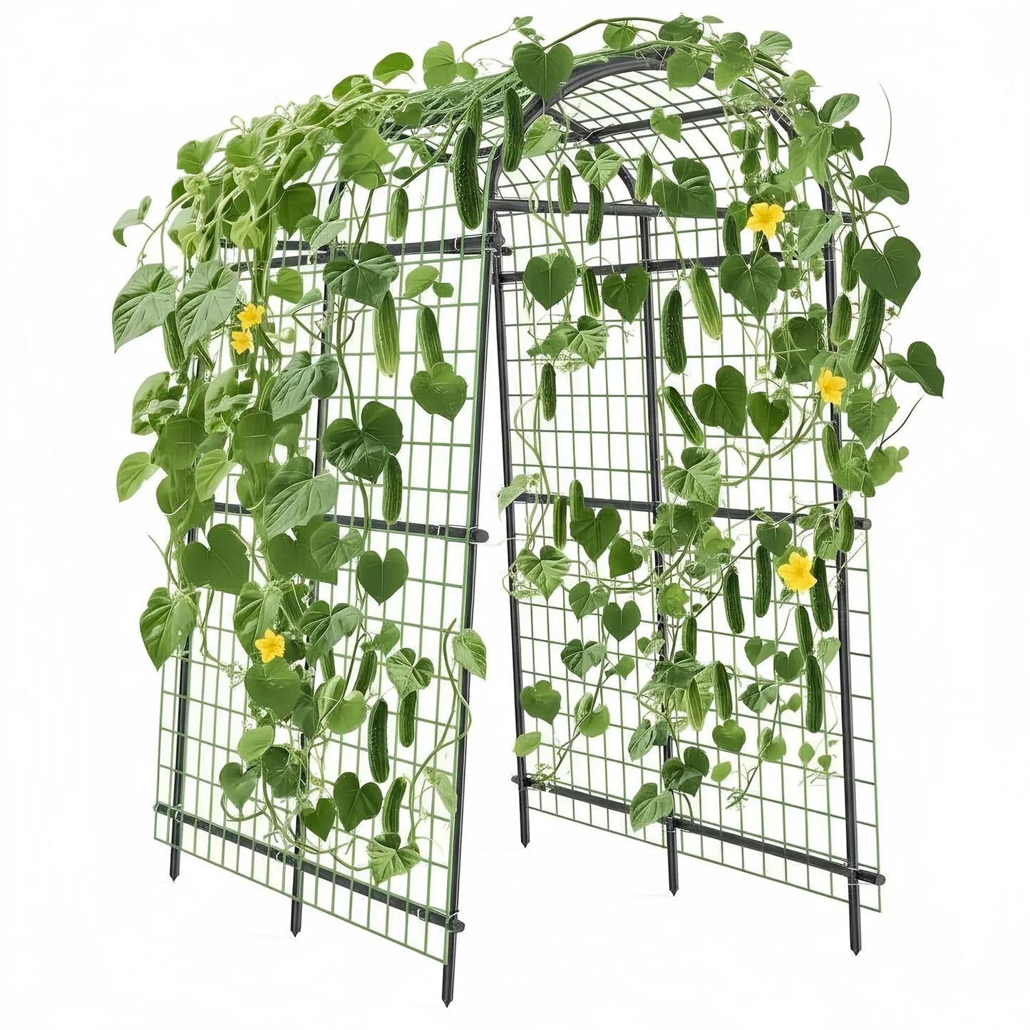 7FT Raised Bed Garden Arch Trellis, Heavy Duty Steel Cucumber Arbor With Bolt Assembly & Deep Stakes For Outdoor Vines & Plants