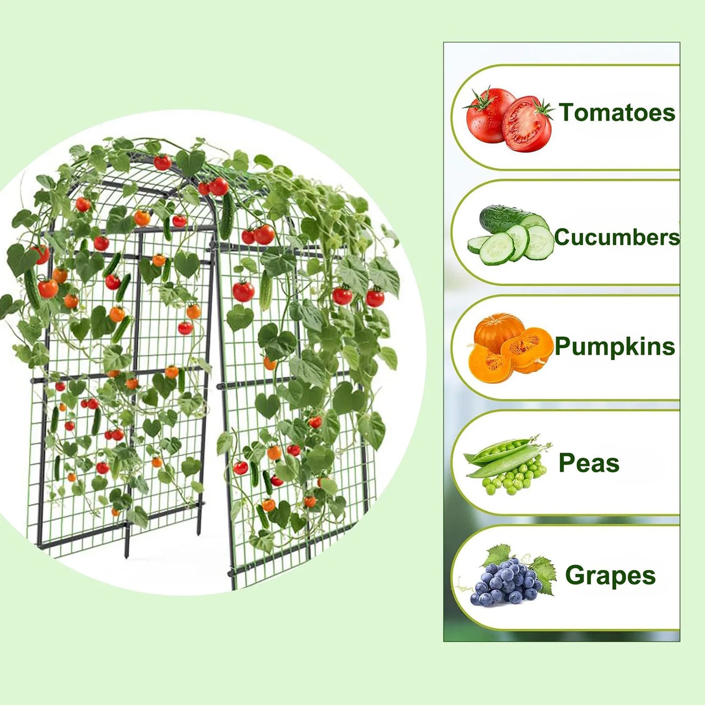 7FT Raised Bed Garden Arch Trellis, Heavy Duty Steel Cucumber Arbor With Bolt Assembly & Deep Stakes For Outdoor Vines & Plants