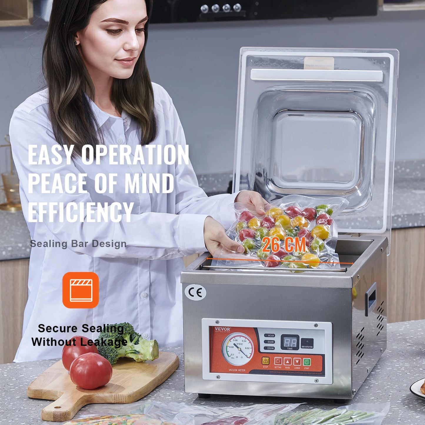 DZ-260A Chamber Vacuum Sealer For Home Food Preservation
