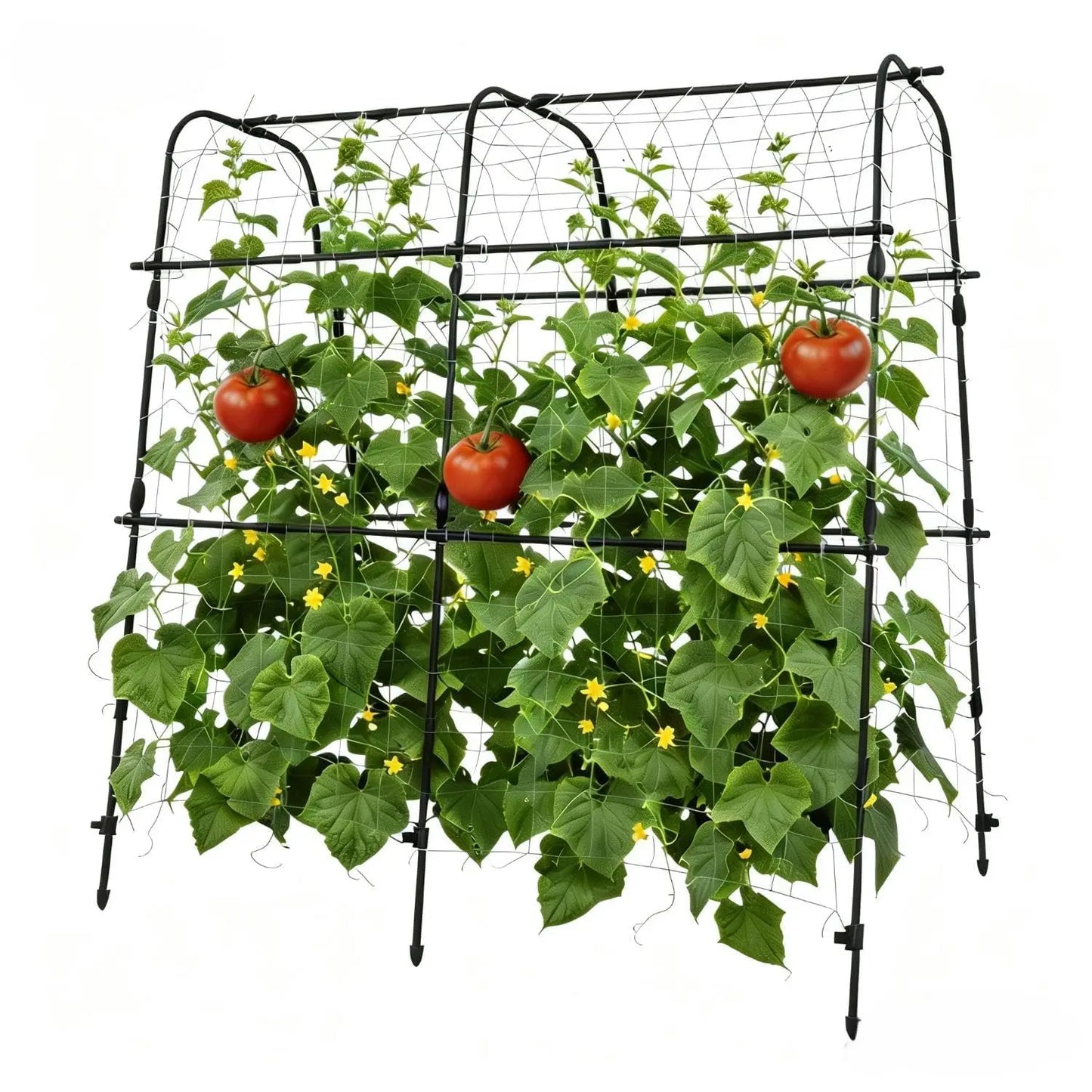 Garden Arch Trellis For Raised Beds Black U-Shape Metal Climbing Plant Support Rust-Resistant Vertical Frame For Vegetables Grapes Roses Quick Tool-Free Setup