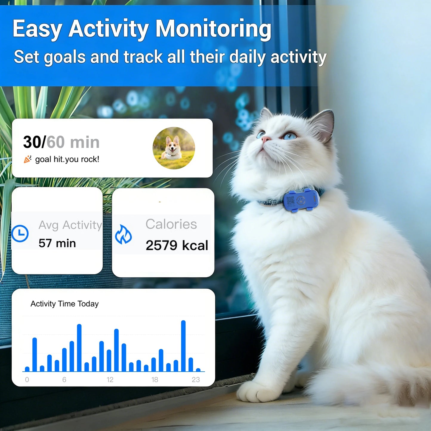 Wanwaytech 4G Lte Pet Tracker Real Time Antilost Locator