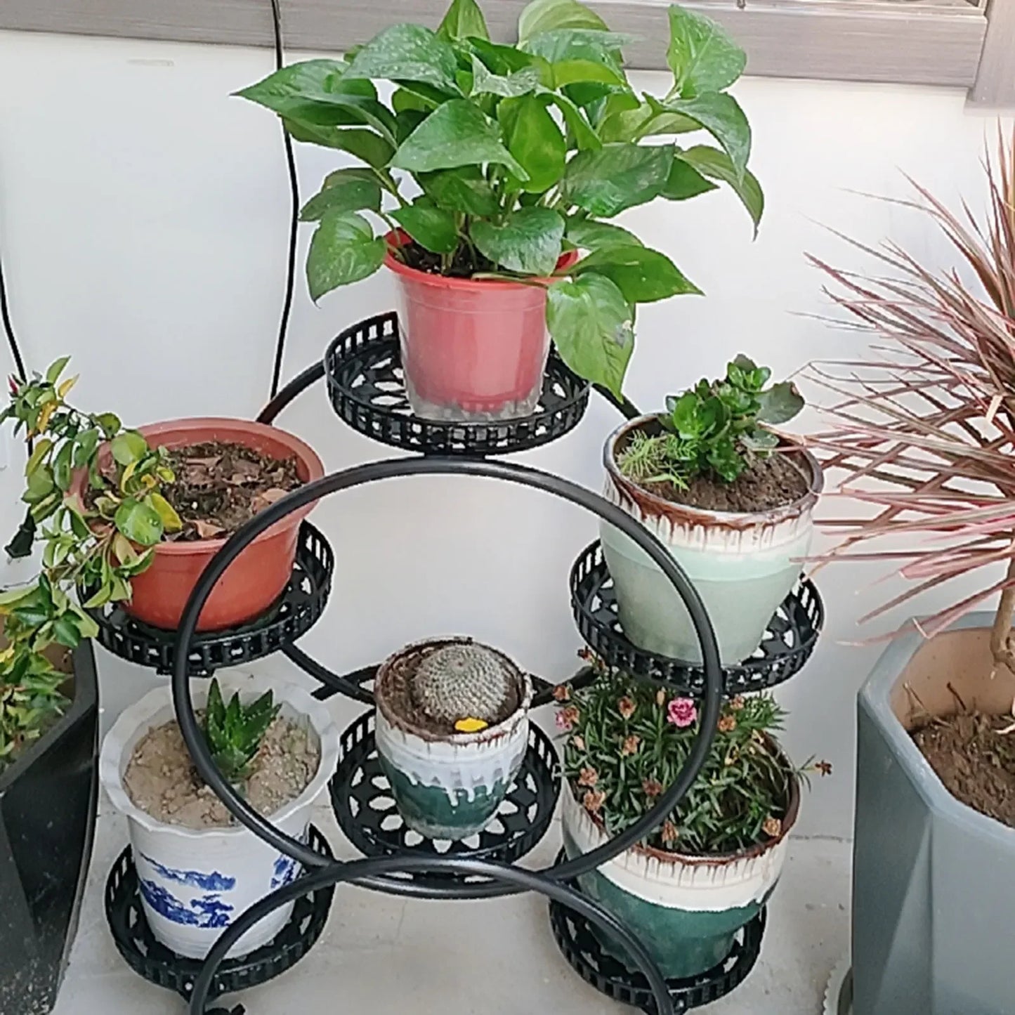 Metal 6 Pot Plant Stand for Patio Garden Living Room